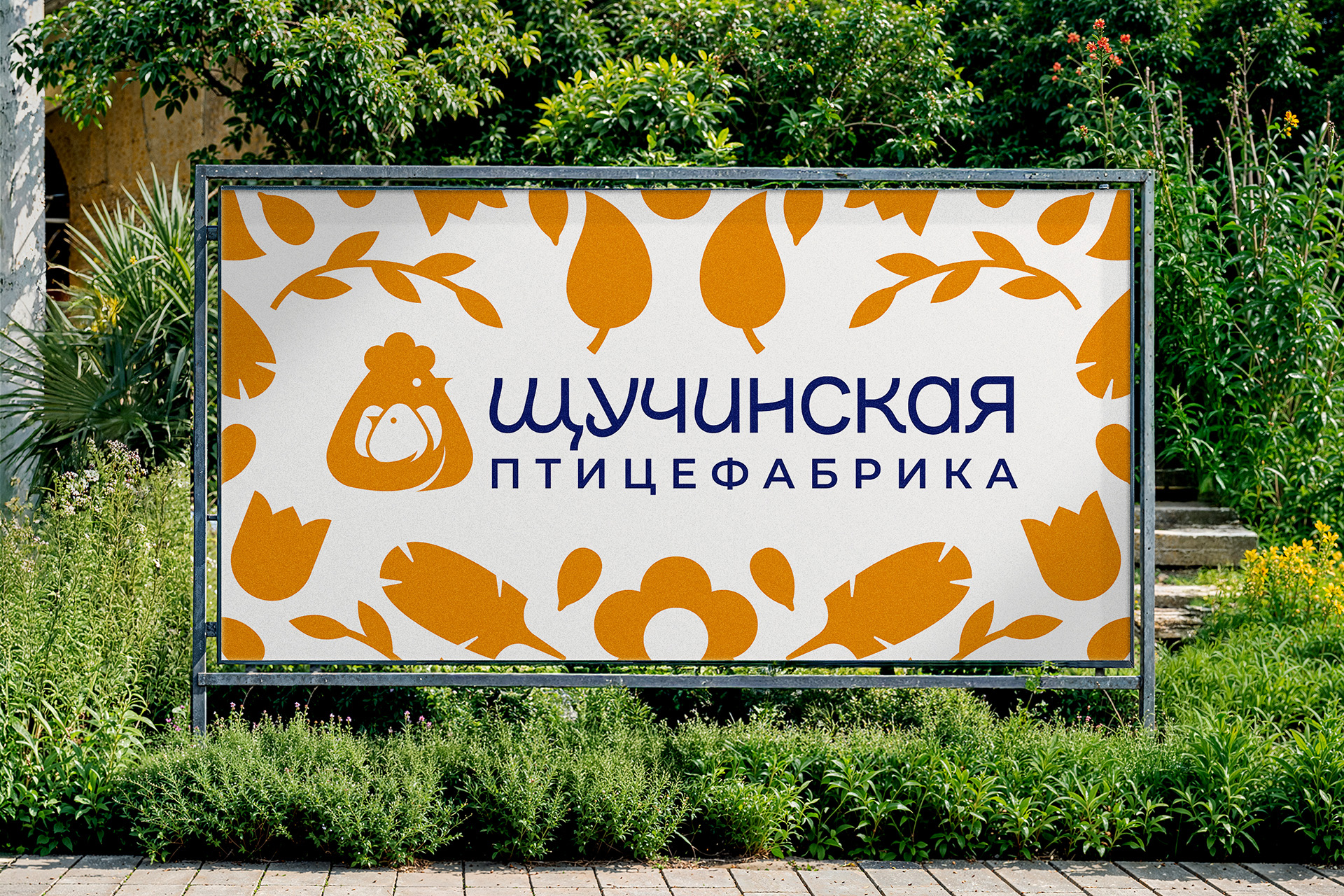 От цыплёнка до курицы, несущей золотые яйца image