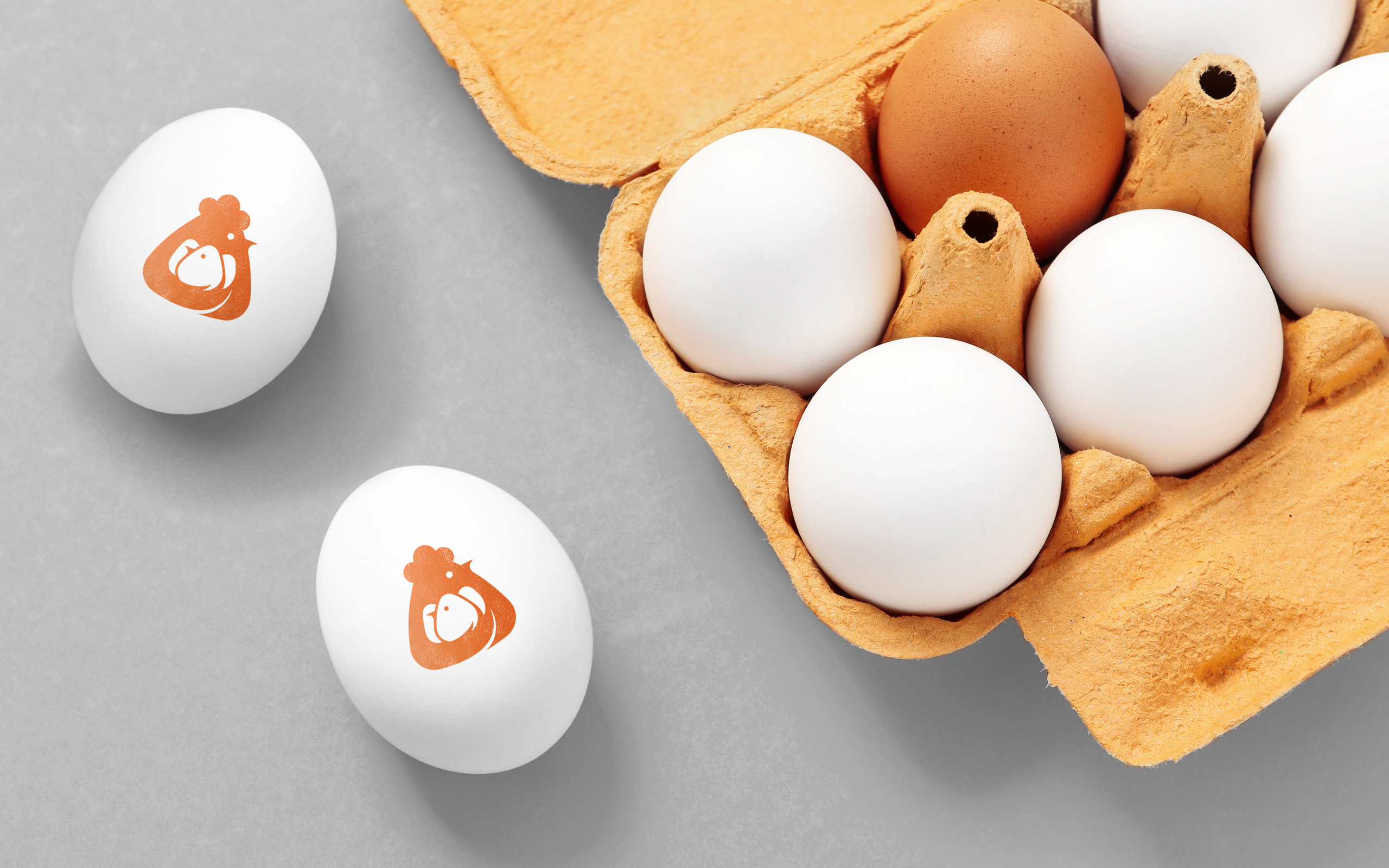 От цыплёнка до курицы, несущей золотые яйца image