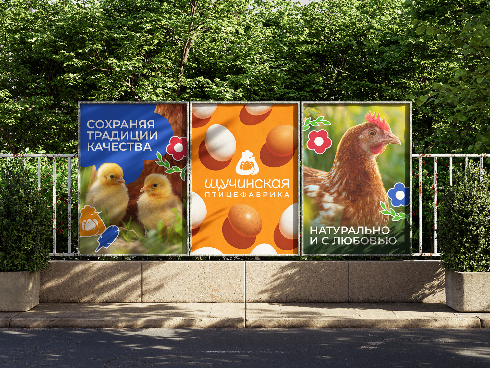 От цыплёнка до курицы, несущей золотые яйца image