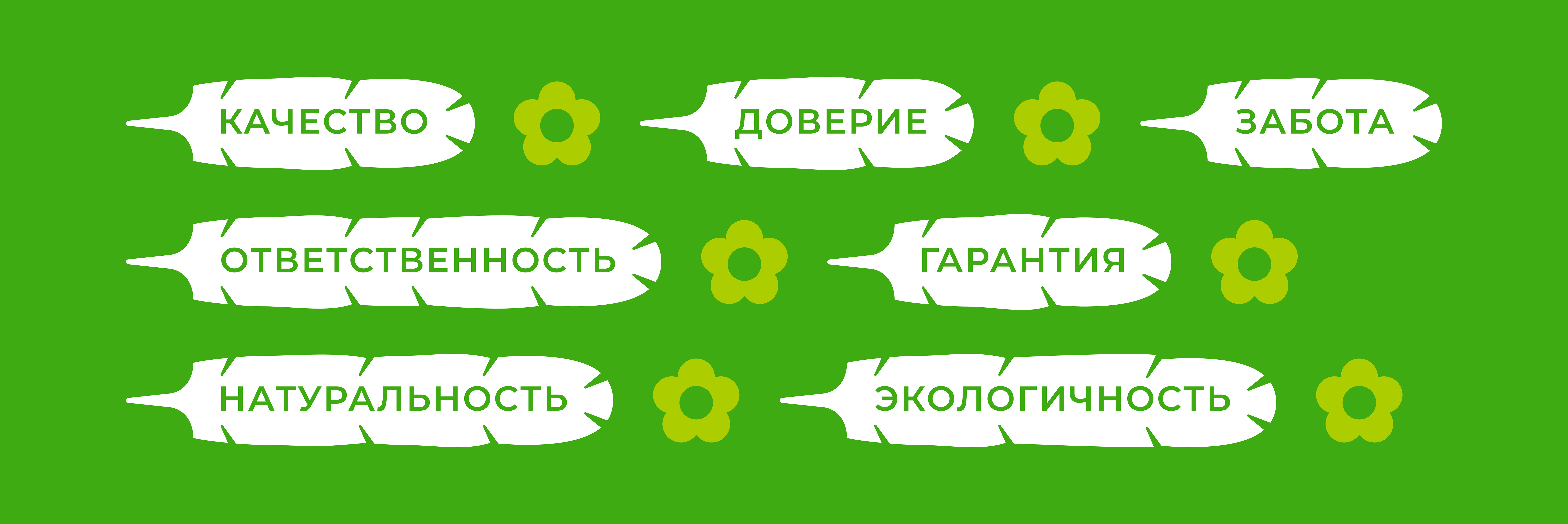 От цыплёнка до курицы, несущей золотые яйца image