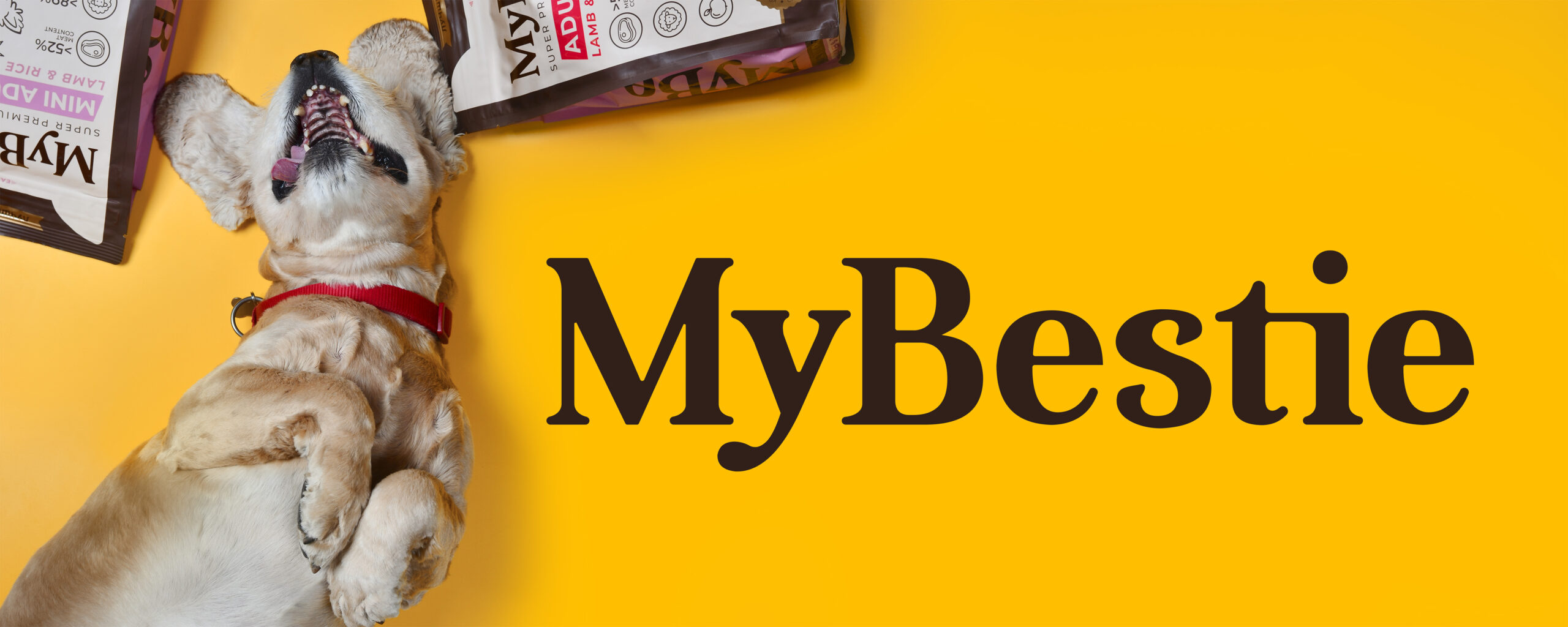 MyBestie лучшим <br />
и любимым питомцам